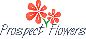 Prospect Flowers Prospect Flowers