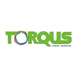 Torqus Systems Pvt. Ltd. 