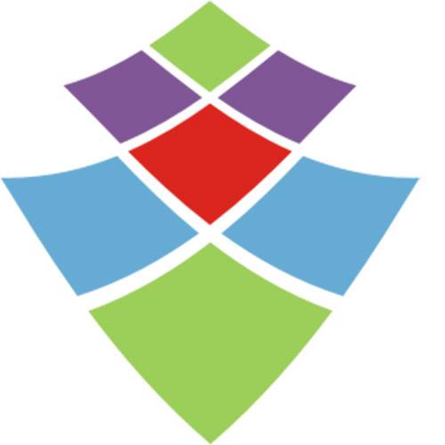 FSL Software Technologies Ltd. FSL Software Technologies Ltd.