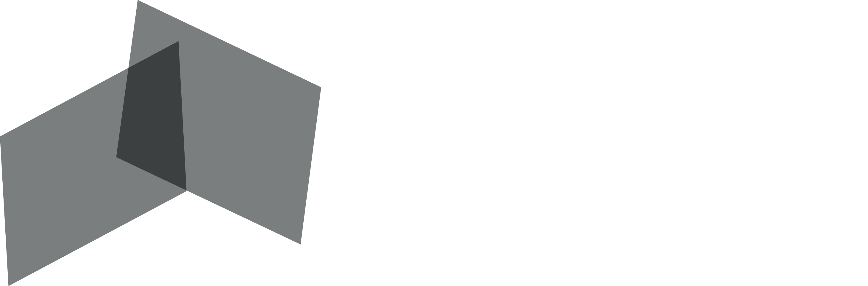 Morzine Prestige