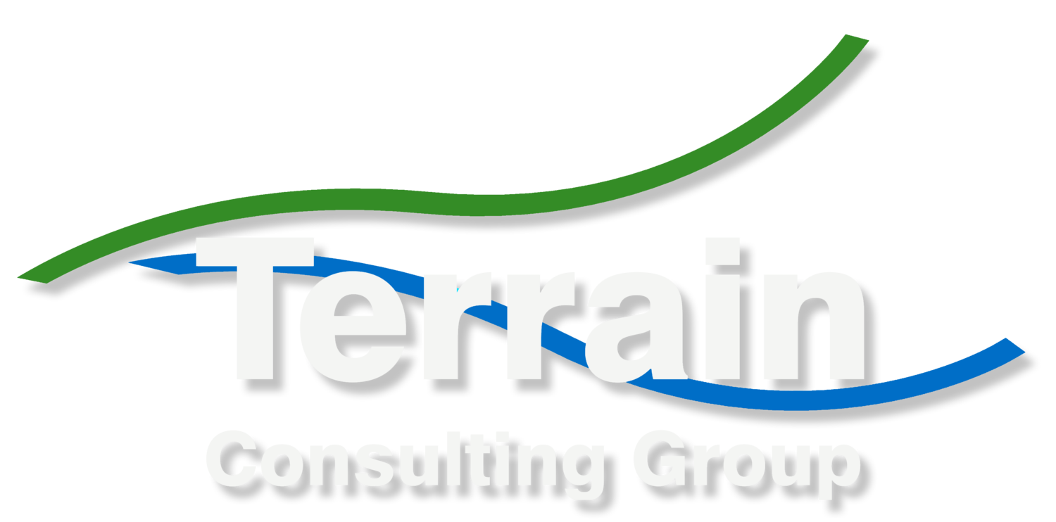 Terrain Consulting Group