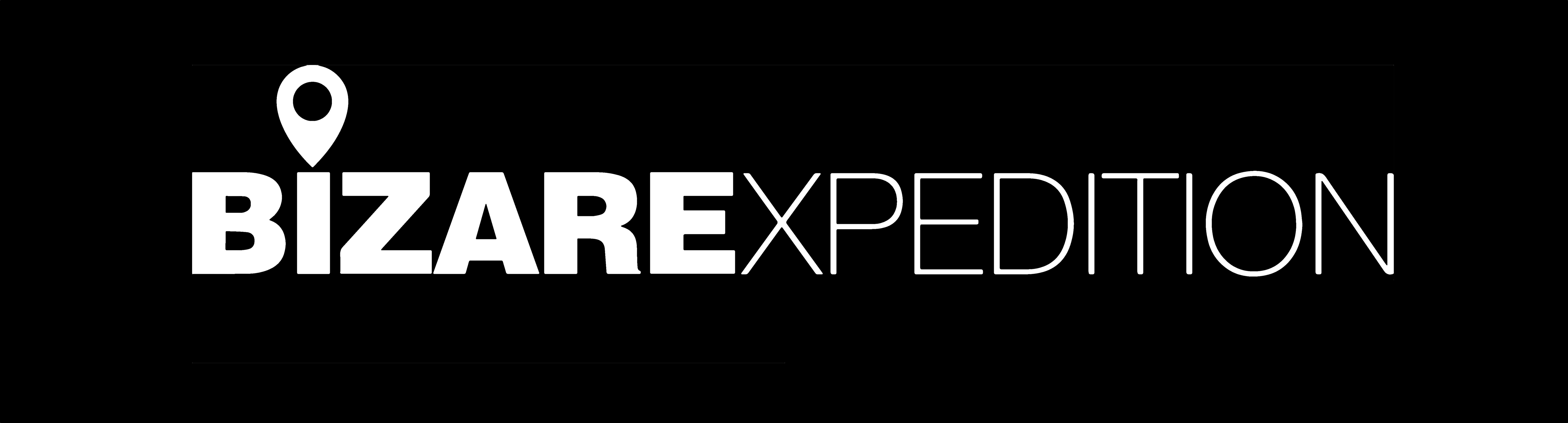 Bizarexpedition Services Pvt. Ltd Bizarexpedition Services Pvt. Ltd