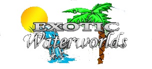 Exotic Waterworlds