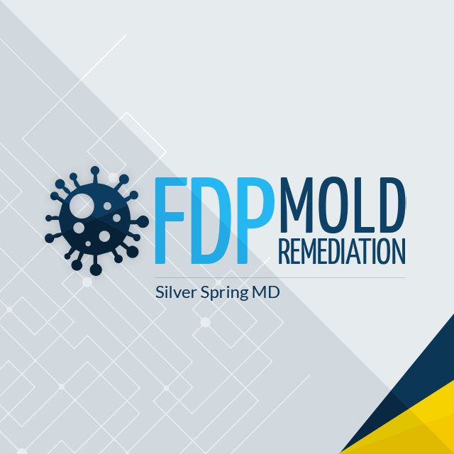 FDP Mold Remediation