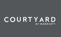 Courtyard By Marriott Dallas DFW Airport South/Irving