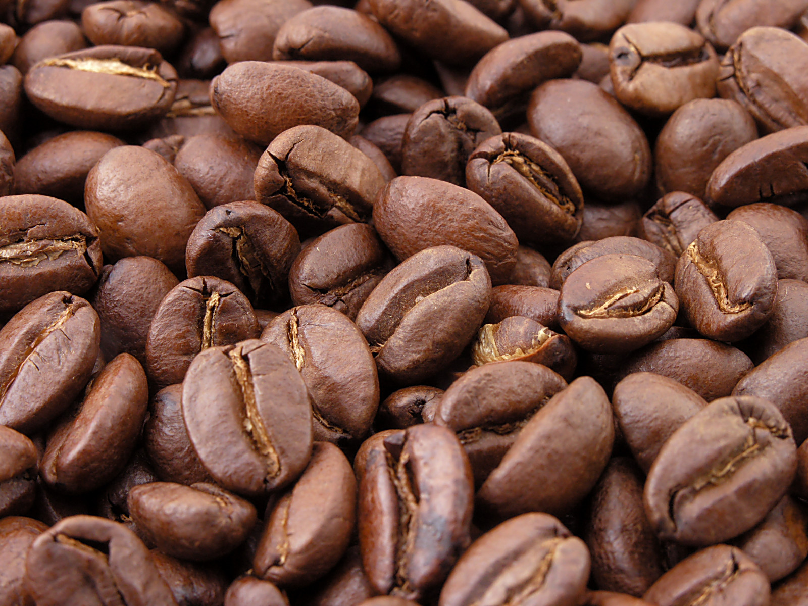 Best Green Coffee Beans