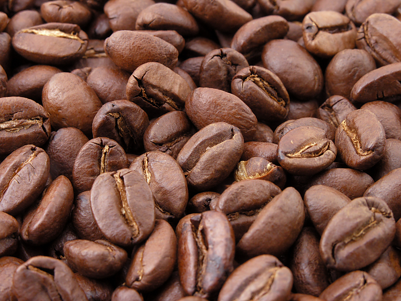 Best Green Coffee Beans Best Green Coffee Beans