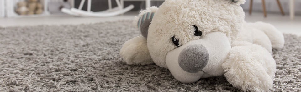 Kamloops Carpet Cleaning Kamloops Carpet Cleaning