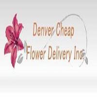 Same Day Flower Delivery Denver CO - Send Flowers