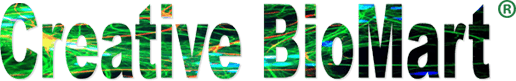 Creative BioMart Creative BioMart