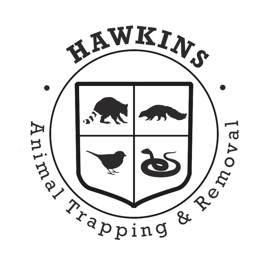 Hawkins Animal Trapping and Removal