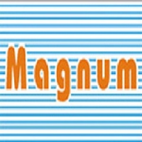 Magnum TeleSystem Magnum TeleSystem