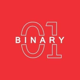 Binary Web Solutions (I) Pvt Ltd 