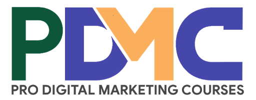 Professional digital marketing course