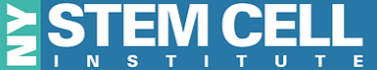 Stem Cell Therapy in NYC Stem Cell Therapy in NYC