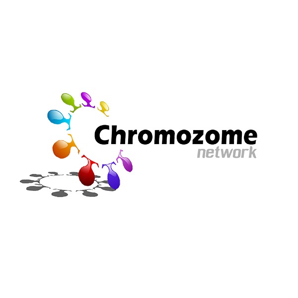 Chromozome Digital Marketing Agency