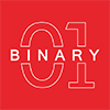 Binary Web Solutions (I) Pvt Ltd