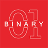 Binary Web Solutions (I) Pvt Ltd Binary Web Solutions (I) Pvt Ltd
