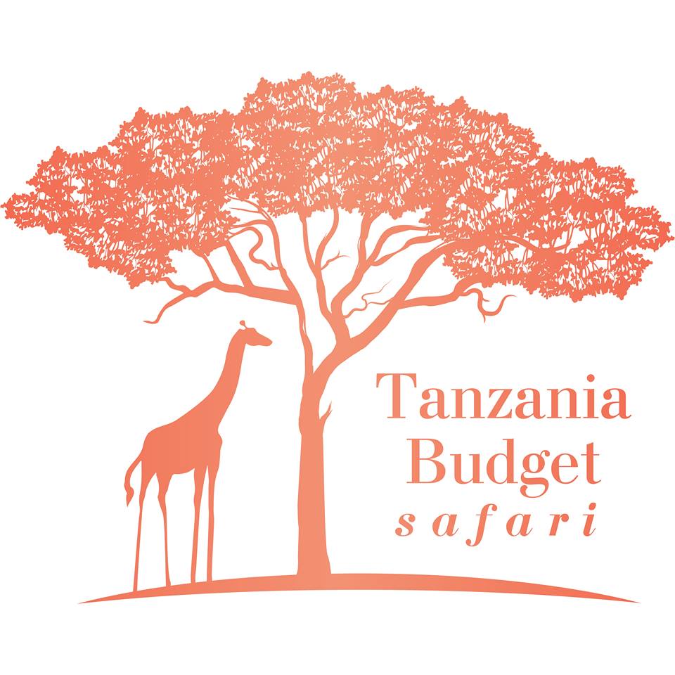 Tanzania Budget Safari