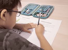 Primary school chinese tuition Primary school chinese tuition