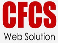 Computer Frontline Consultancy Services
