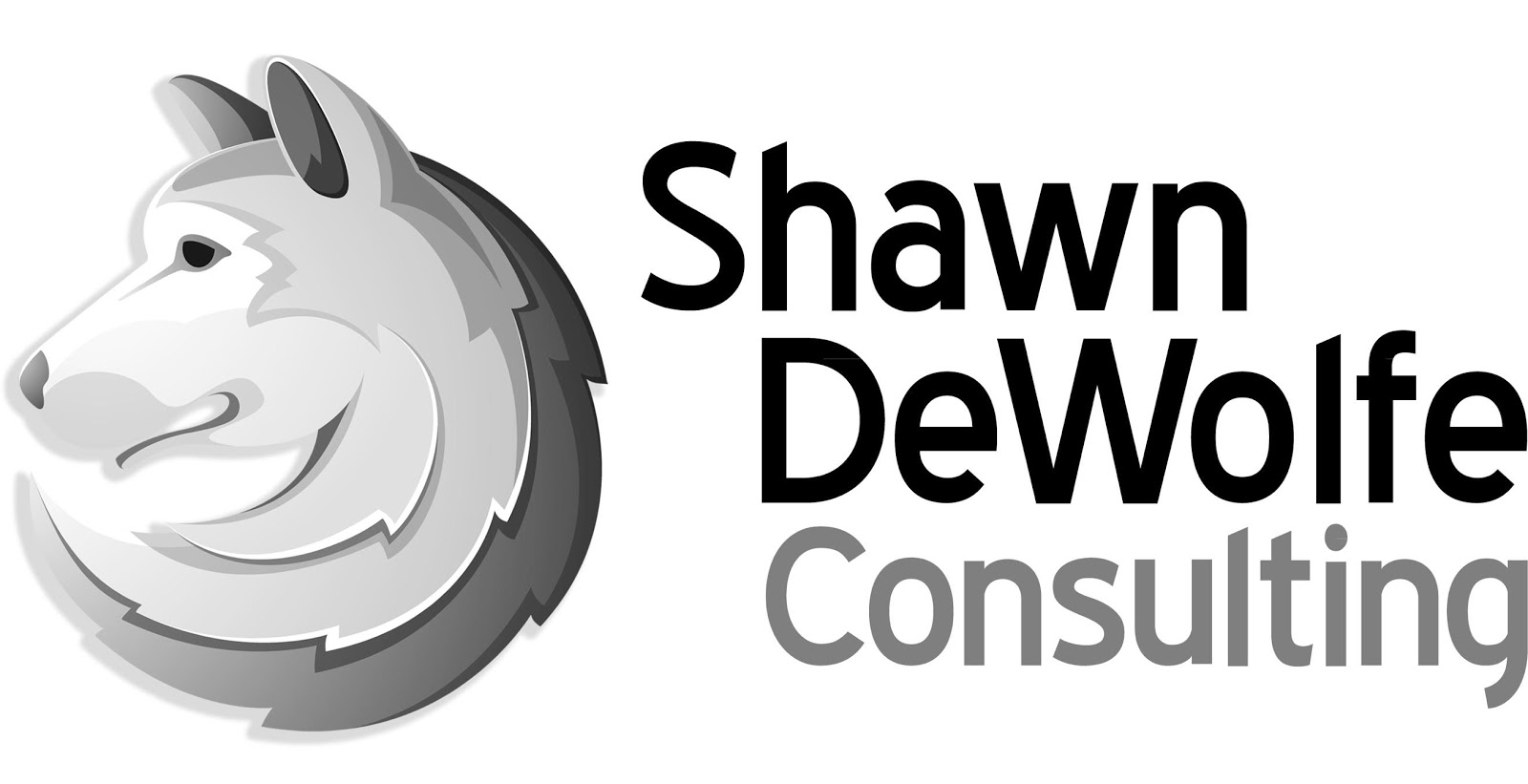 Shawn DeWolfe Consulting