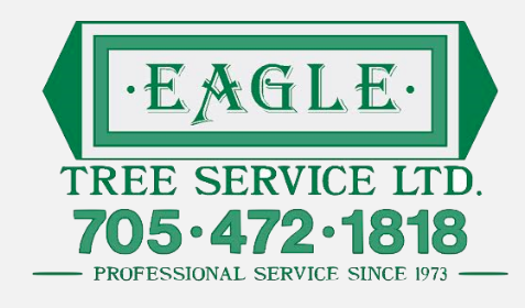 Eagle Tree and Landscaping Services