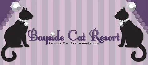 Bayside Cat Resort Bayside Cat Resort
