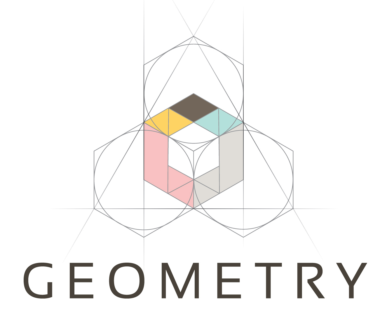 Geometry Integrated Health