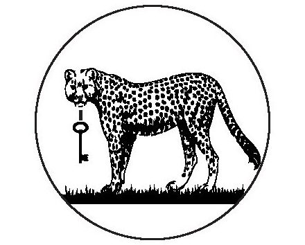 Cheetah Locksmith