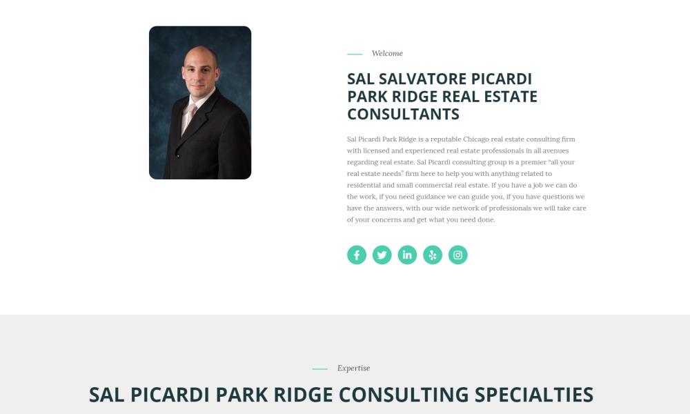Sal Picardi Park Ridge Group