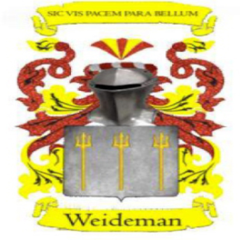 Johan Weideman Properties