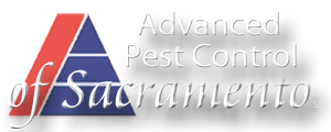 Advanced Pest Control of Sacramento