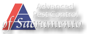 Advanced Pest Control of Sacramento Advanced Pest Control of Sacramento