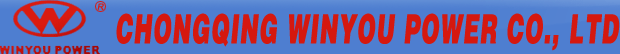 Chongqing Winyou Power Co., Ltd. Chongqing Winyou Power Co., Ltd.