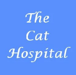 The Cat Hospital