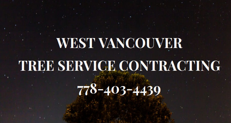 West Vancouver Tree Service Contracting