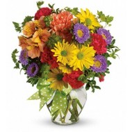 One-Call Flower Delivery Dallas One-Call Flower Delivery Dallas