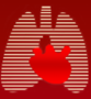 Apple Pulmonology and Sleep centre Apple Pulmonology and Sleep centre