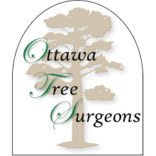 Ottawa Tree Surgeons & Consultants Inc.