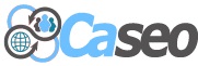 Caseo LTD - Burlington SEO Company