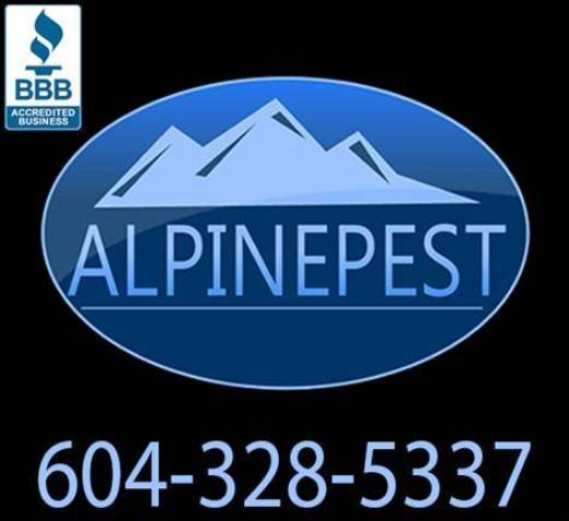Alpine Pest Control Ltd