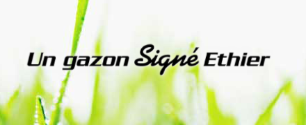 Les Gazons Ethier Inc Les Gazons Ethier Inc