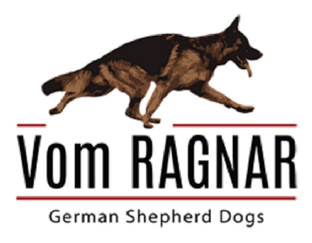 Vom Ragnar German Shepherds