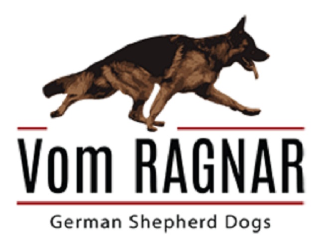 Vom Ragnar German Shepherds Vom Ragnar German Shepherds