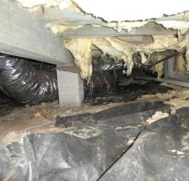 Southeastern Foundation & Crawlspace Repair