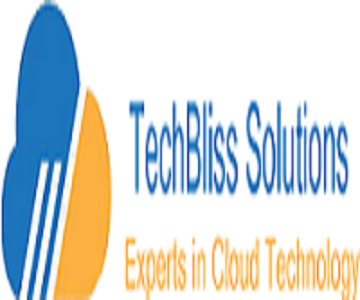Techbliss Solutions 