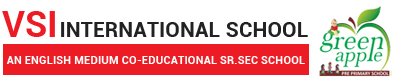 VSI INTERNATIONAL SCHOOL JAIPUR