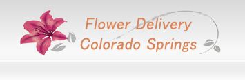 Same Day Flower Delivery Colorado Springs Same Day Flower Delivery Colorado Springs