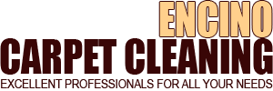 Carpet Cleaning Encino Carpet Cleaning Encino